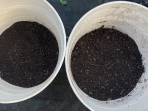 我が家のプランターミミズコンポスト
