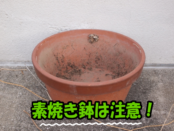 素焼きの植木鉢・プランターをミミズコンポストへ使用する際は注意が必要