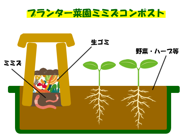 プランター菜園ミミズコンポスト