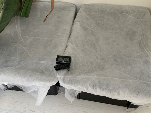 不織布でカバー