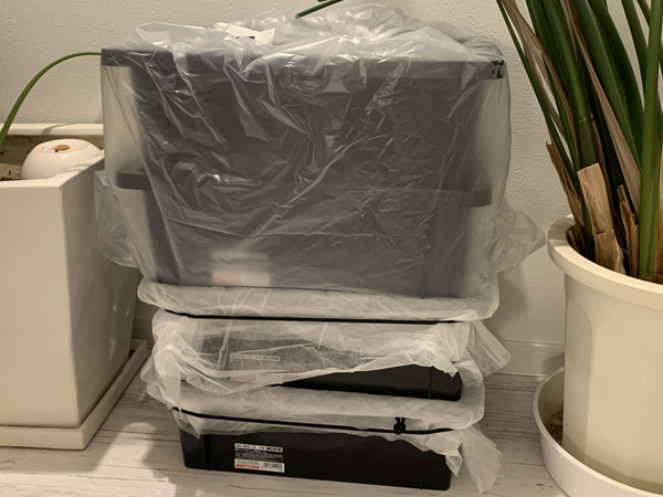 シマミミズの室内飼育箱の様子