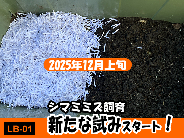 シマミミズの飼育・繁殖に挑戦する