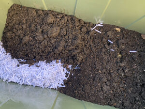 シュレッダー紙をミミズ飼育箱の床材に使う