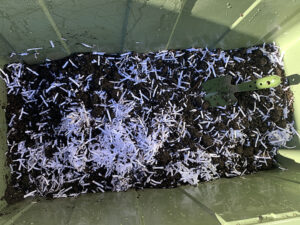 シュレッダーと腐葉土を入れた飼育箱