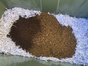 飼育箱2号の床材