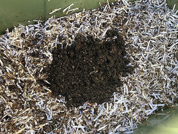 飼育箱の中央に配置する