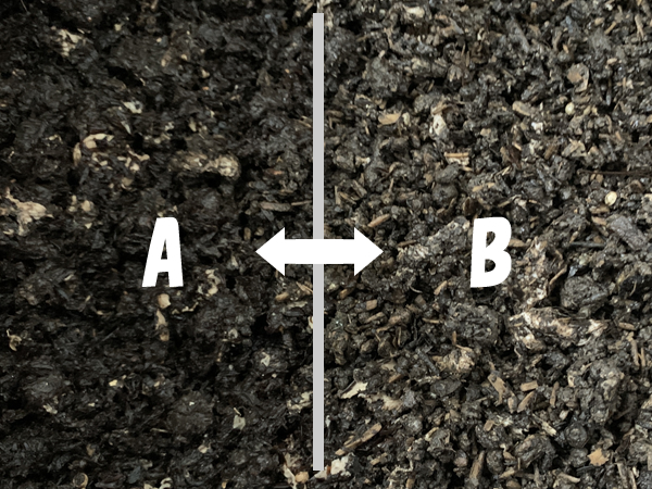 シマミミズの床材を試す