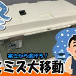 冬の寒さを乗り切る為にシマミミズを室内へ移動する