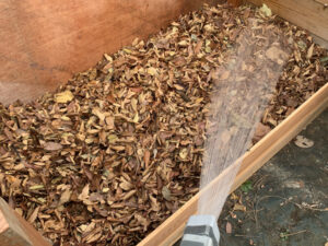 コンポスト内の枯れ葉に水をかける