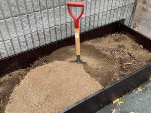 自宅の裏庭に小さな畑を作る