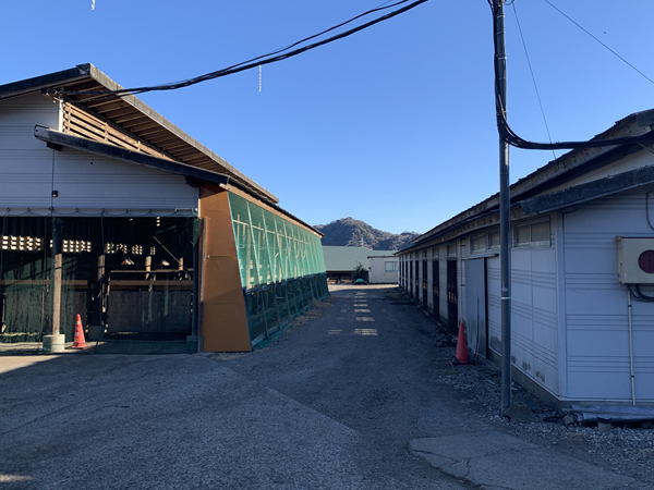 堆肥場へ車を走らせる