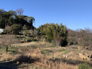 堆肥場から見える畑の風景