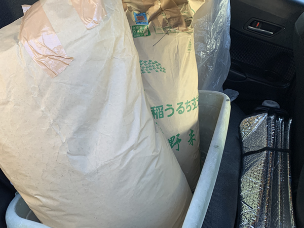 3袋の牛糞堆肥を後部座席に載せて帰宅する