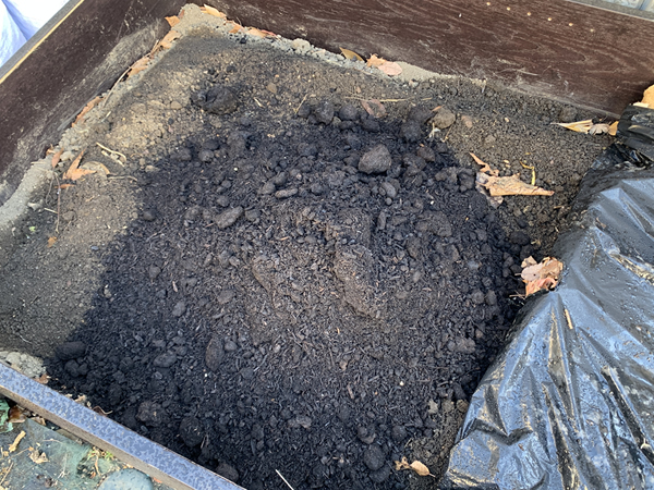 家庭菜園の畑へ牛糞堆肥を混ぜる