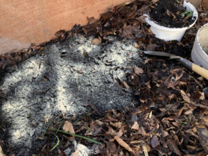 牛糞堆肥に枯葉を混ぜる